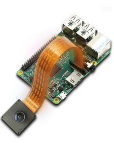 HC-CB013-A0UM Linux Arm Board Raspberry Pi supportato 1.3MP Global Shutter CMOS USB 3.0 Board Level Camera - Product Image 6