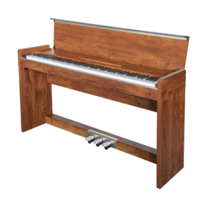 OEM Piano Elétrico Digital com 88 Teclas Martelo Ação Instrumento Musical Vertical