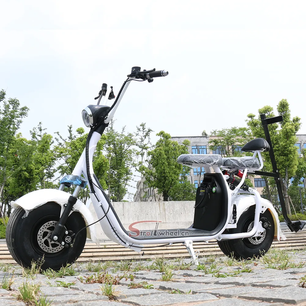 Citycoco-motocicleta eléctrica de 3 ruedas con batería de litio de 1000W, Scooter Eléctrico citycoco trike de 3000w