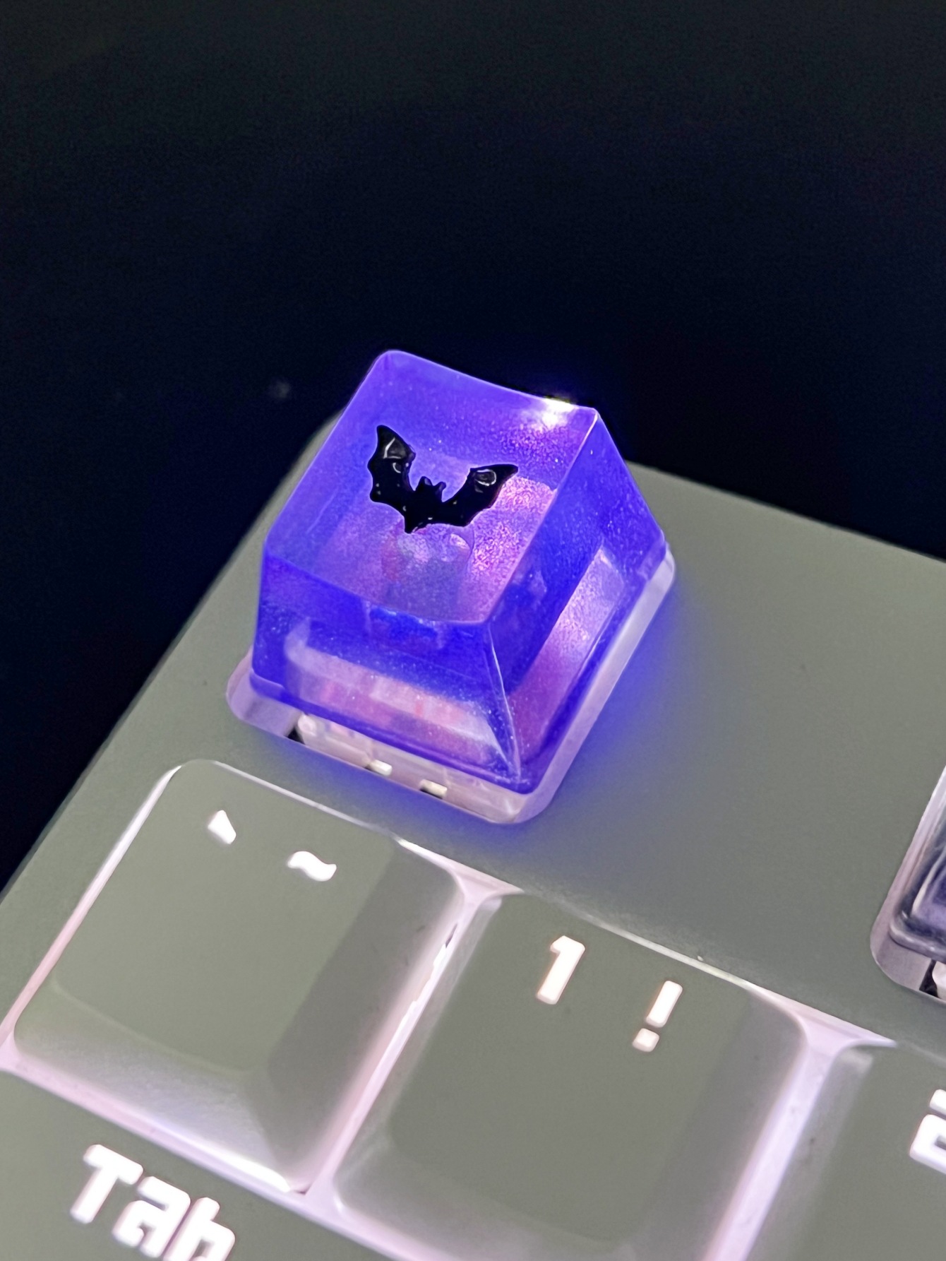Chauve-souris noire