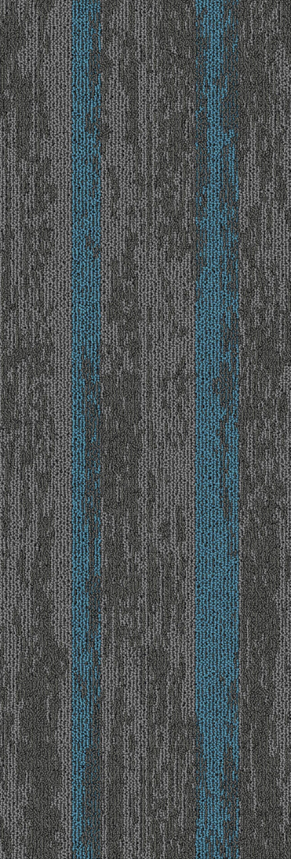 Grey16