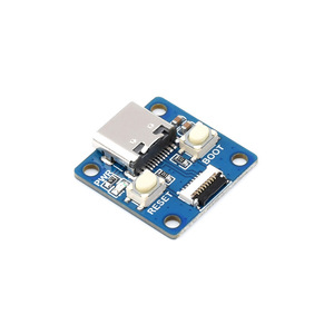 <strong>Raspberry</strong> <strong>Pi</strong> RP2040 Tiny microcontroller development board
