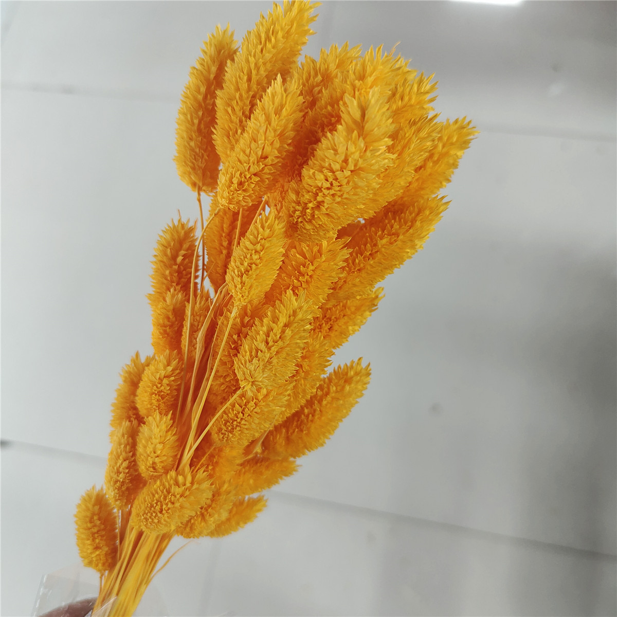 Arancione chiaro