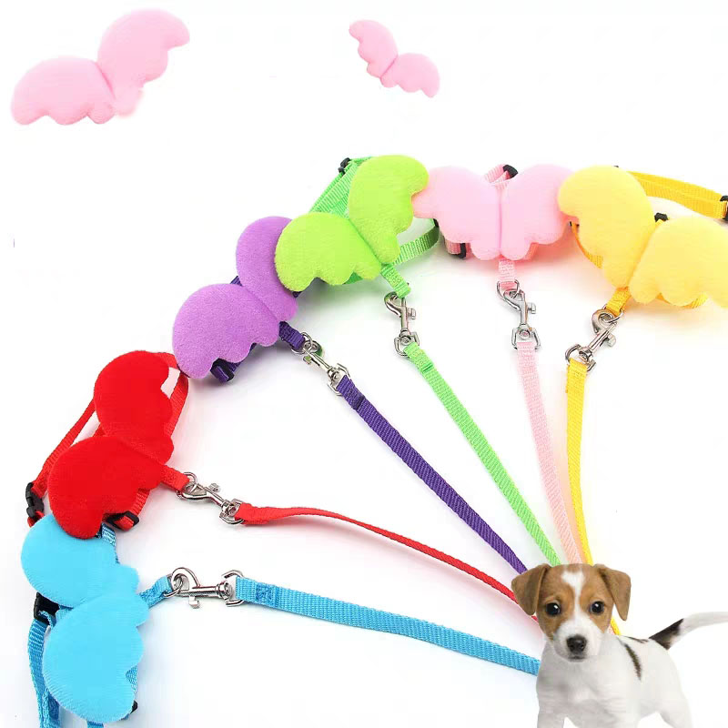 Cute Angel Pet Dog Leashes and Collars Set Puppy Leads for Small Dogs Cats Designer Wing Adjustable Dog Harness Pet Accessories