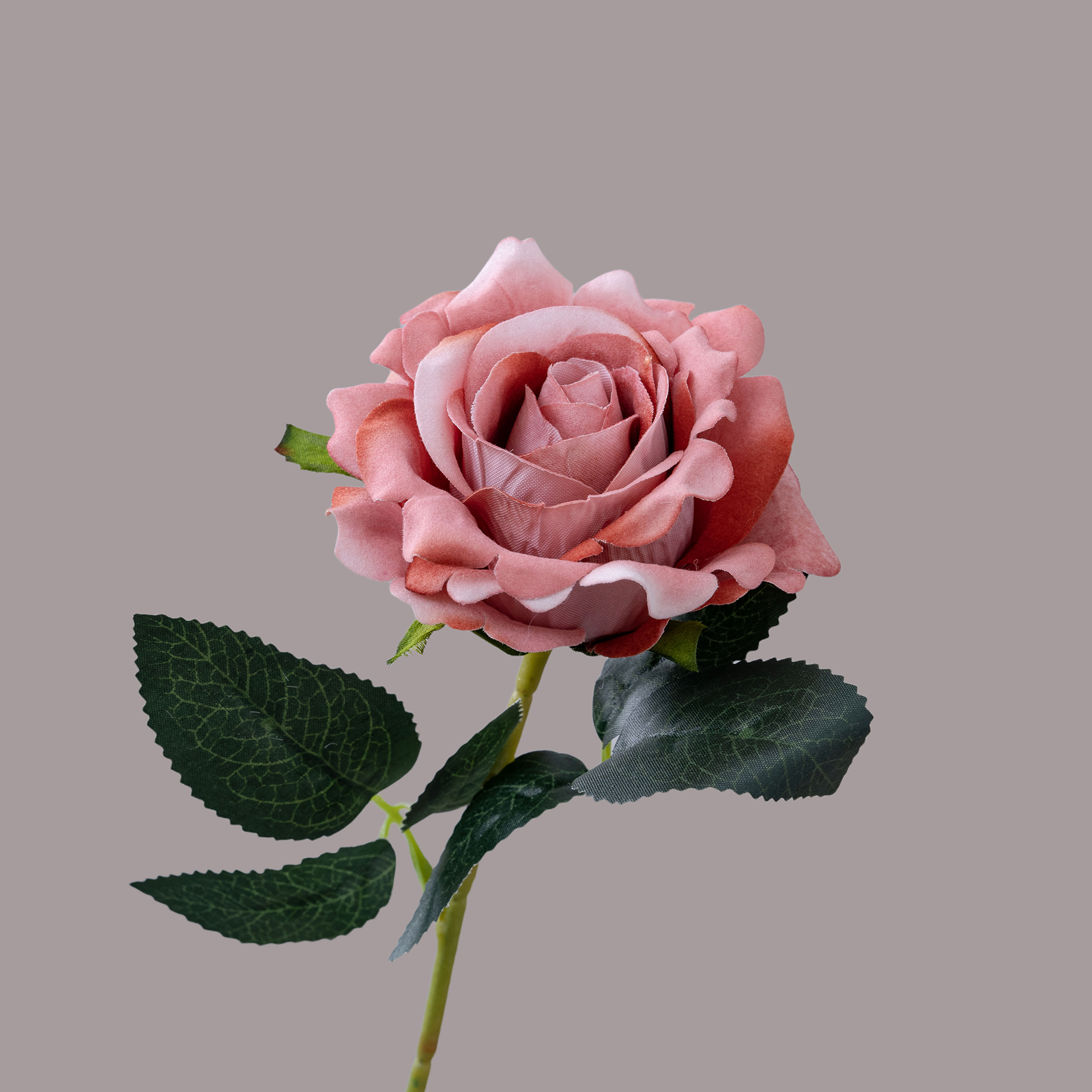 Rosa oscuro