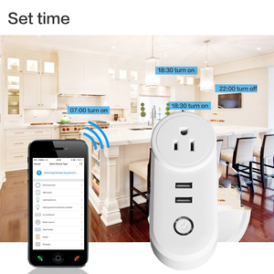 米国EU英国AUインドイスラエルブラジルフランス16A 2 USB Tuya WiFi Alexaスマートコンセントプラグソケットリモコン付き - Product Image 5