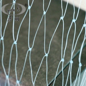 Factory Supply Durable Transparent Nylon Cat <strong>Net</strong> 3*4m &amp; 3*8m Sizes Balcony Protection Plastic <strong>Net</strong> - Product Image 3
