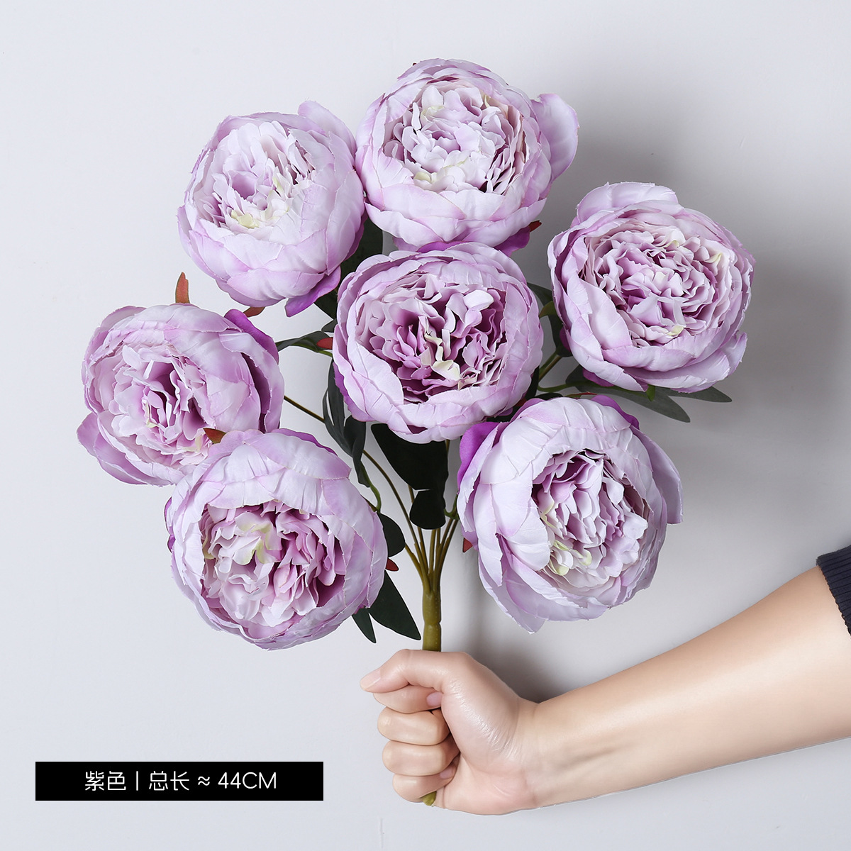 ดอกโบตั๋น 7 ดอก-สีม่วง