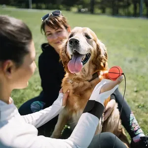 Juguete de entrenamiento de muñeca y ejercicio FDFIT, parte trasera de goma deportiva colorida y divertida con cuerdas como regalo para la muñeca hinchable familiar