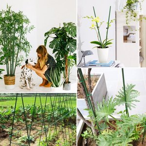 花园木桩钢金属塑料涂层植物笼支撑西红柿树黄瓜栅栏豆攀爬棒