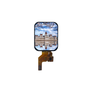 1.7インチIPS TFT LCDディスプレイ240X280 IPSインターフェース付きタッチスクリーンLEDバックライトなしスマートホーム用 - Product Image 1