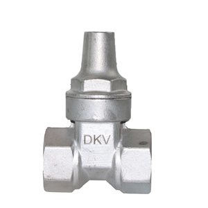 Anahtar ile DKV BSP PN16 anti-hırsızlık kilit kalkanı giriş valfi paslanmaz çelik saplar anahtar Lockshield ile kilitlenebilir dişli giriş valfi - Product Image 3
