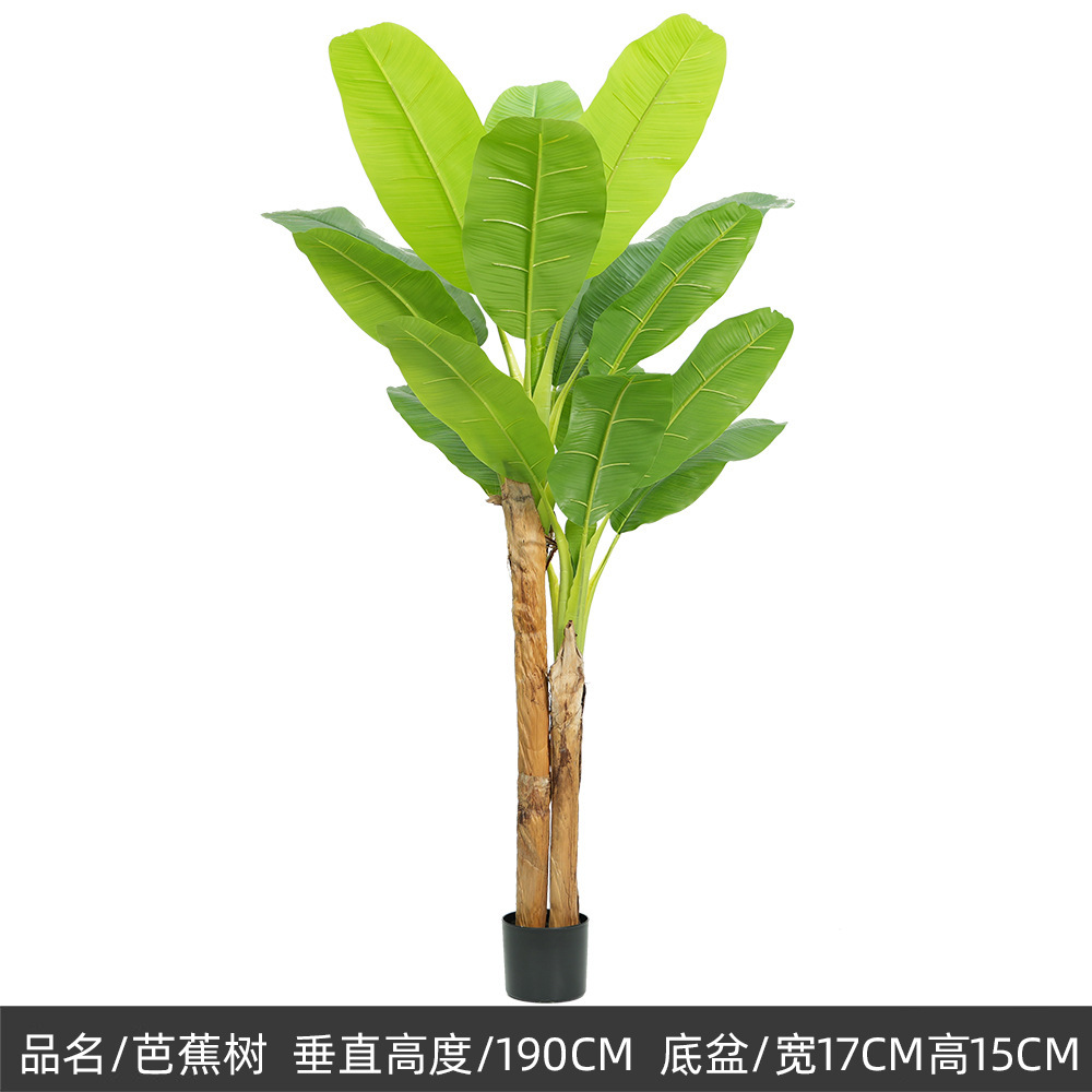 190cm/Double-rod banana tree,