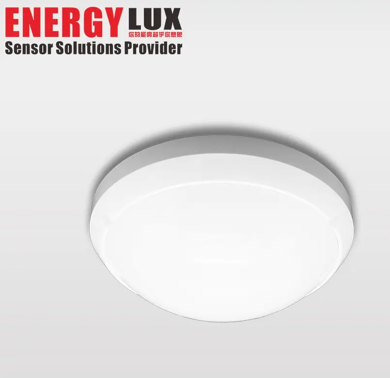 Outdoor Balcony Ceiling Light with Microwave Sensor