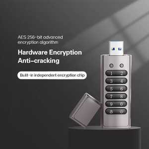 密码保护 USB 闪存驱动器密码锁 u盘笔驱动器加密 USB 闪存盘 - Product Image 5