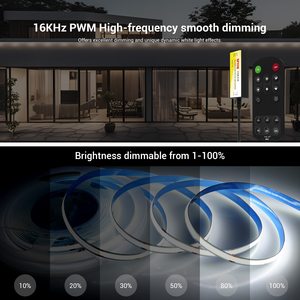 SP111E 1-канальный PWM светодиодный контроллер 2,4G RF пульт дистанционного управления для одноцветной светодиодной полосы DC 5V-24V - Product Image 5
