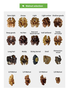 Wholesale Natural Organic First Grade White Walnuts in <strong>Shell</strong> Bulk Raw Walnut Nuts &amp; <strong>Kernels</strong> Color Sorter <strong>Sorting</strong> <strong>Machine</strong> - Product Image 5