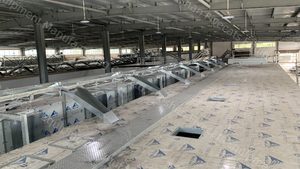 Macadamia Nut Peeling Husking Grading <strong>Sorting</strong> Cleaning Cracking <strong>Shelling</strong> <strong>Kernel</strong> Separating <strong>Machinery</strong> Processing Production Line - Product Image 5