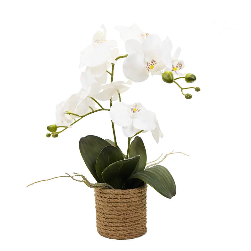Tanaman Bonsai palsu Premium 2023 hiasan dalam ruangan dekorasi bunga putih plastik seperti kupu-kupu tanaman bunga buatan