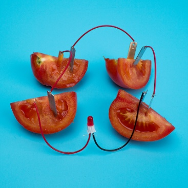 050 fruit battery