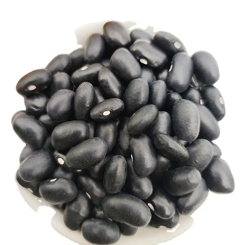 Export High Quality Chinese Organic Black Kidney Beans With Factory Price