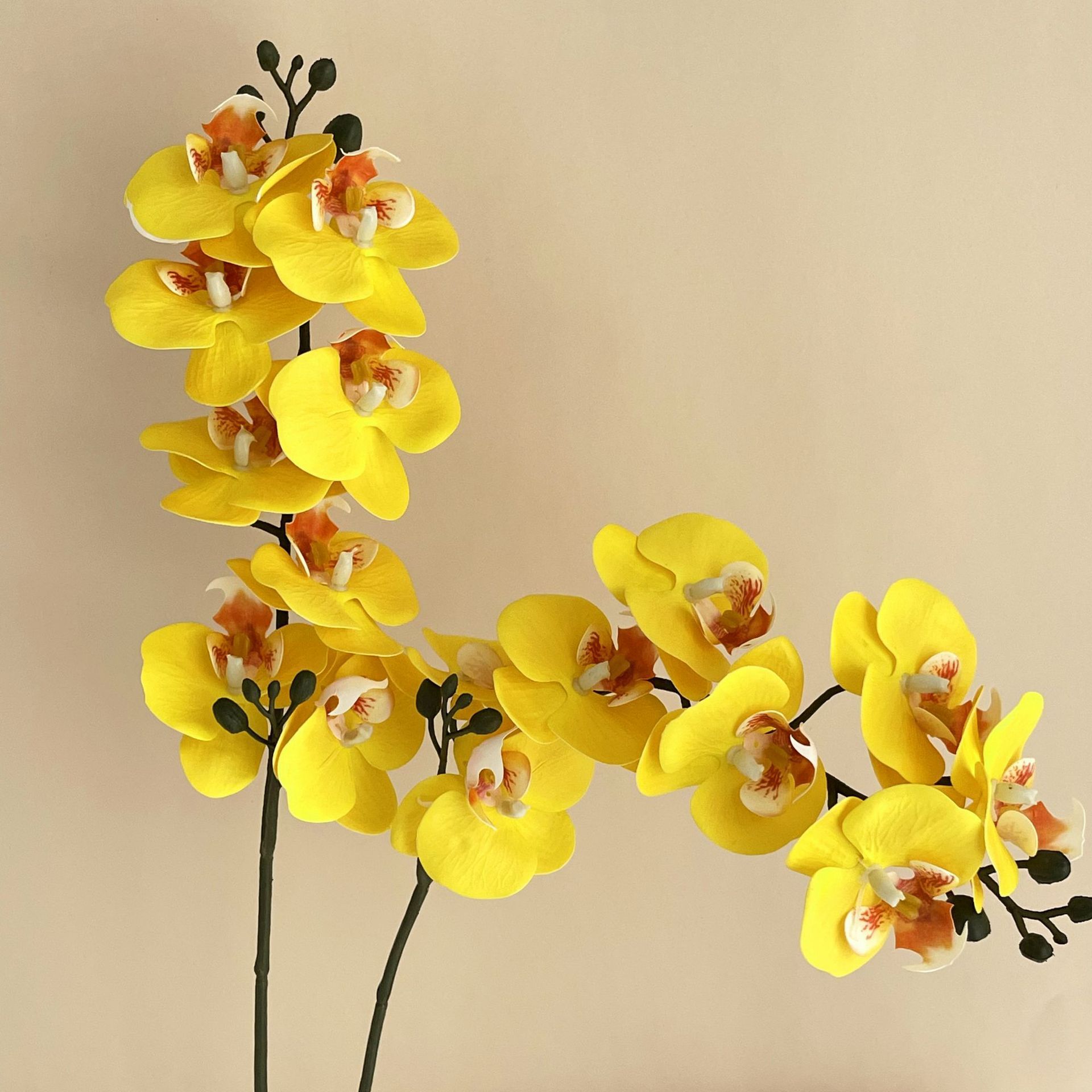 Jaune