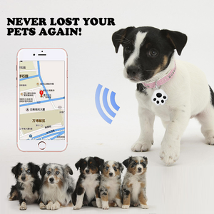 כלב Paw צורת איתור חכם GPS Tracker מיני אנטי איבד עמיד למים Locator Tracker עבור חיות מחמד כלב חתול ילדים רכב ארנק מפתח צווארון