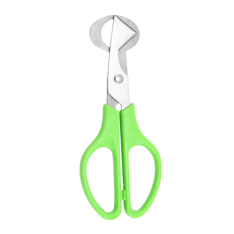 Egg cutter-green