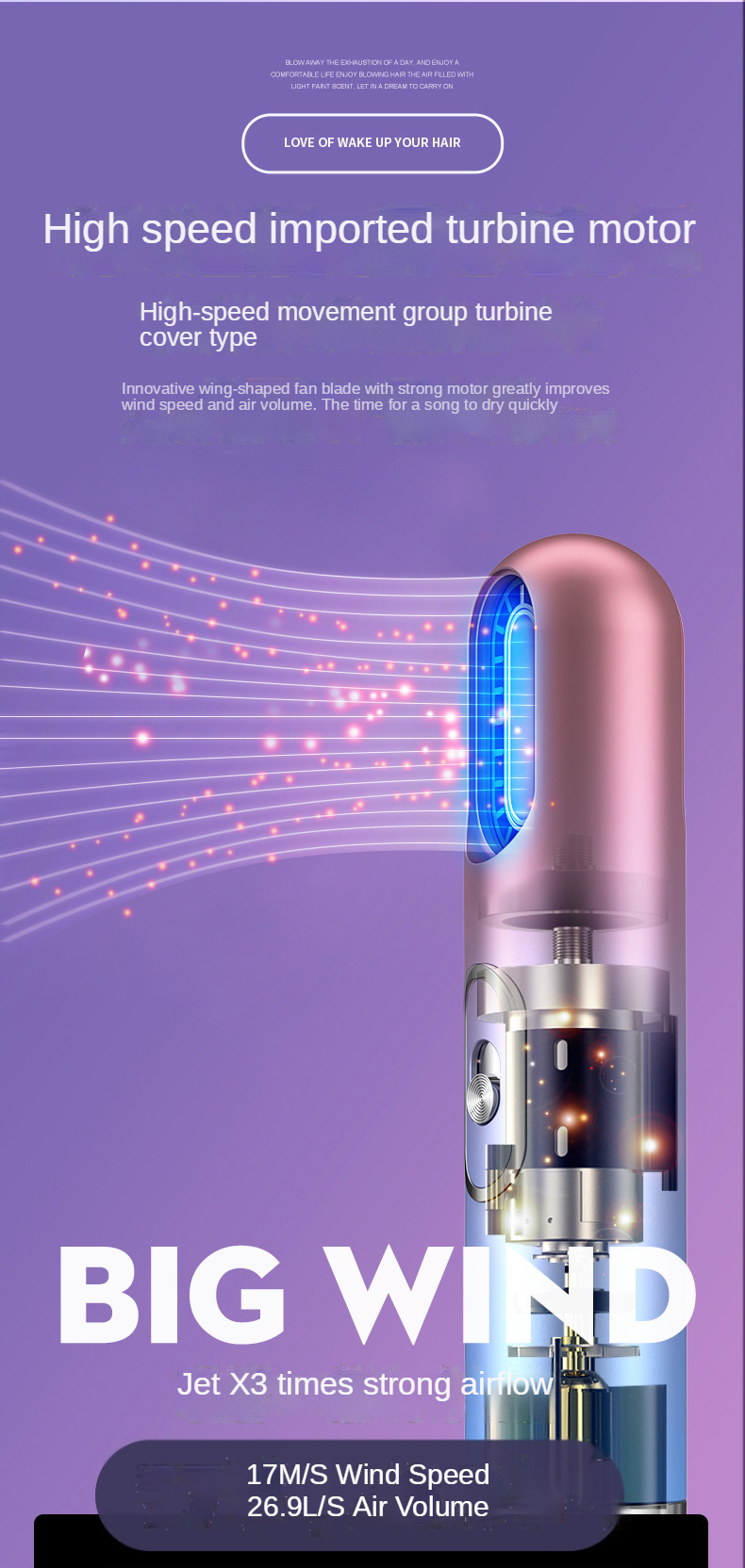 2021 Hot Selling Leafless Professional Bid Wind Quick Low Noise Dry Private Diffuser Ion Hair Processor Dryer for home salon