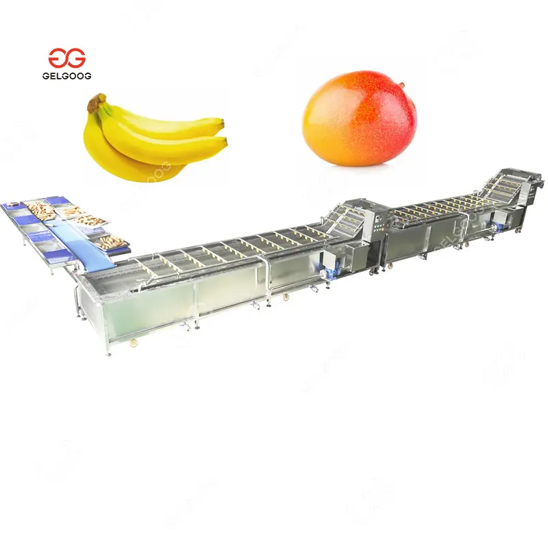 Máquina de lavar a banana do ozônio, equipamento automático para limpar a banana do ozônio, frutas e vegetais