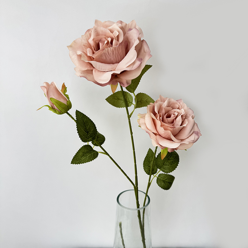 Pink and coffee color