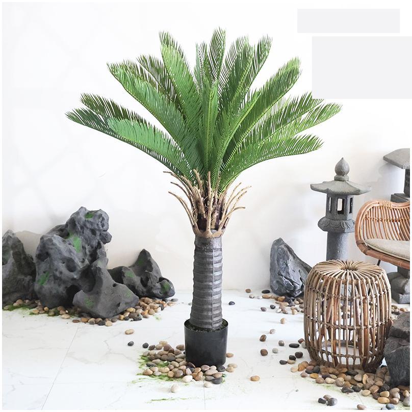 Plante en pot cycade géante spéciale