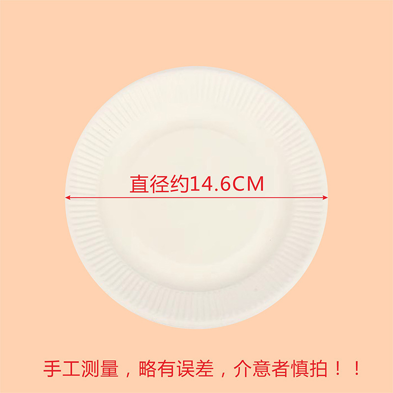6-inch paper plate (approximately 15cm in diameter)