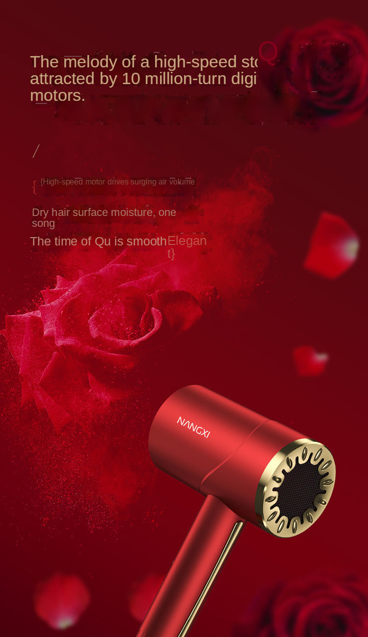 Amazon new fashion hair dryer negative ion hair care quiet and quick-drying household salon travel Professional hair dryer