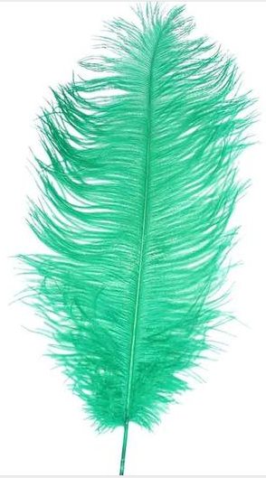 Menthe