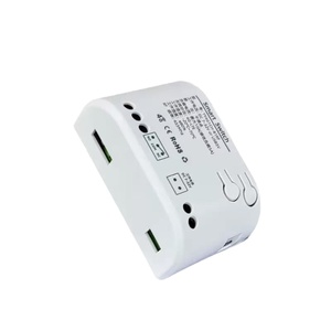 Tuya Smart 4Gスイッチ7-32VリモートコントロールGSMリレー4G Alexa互換性RF433MHzインチングリレー10A Max。 - Product Image 1