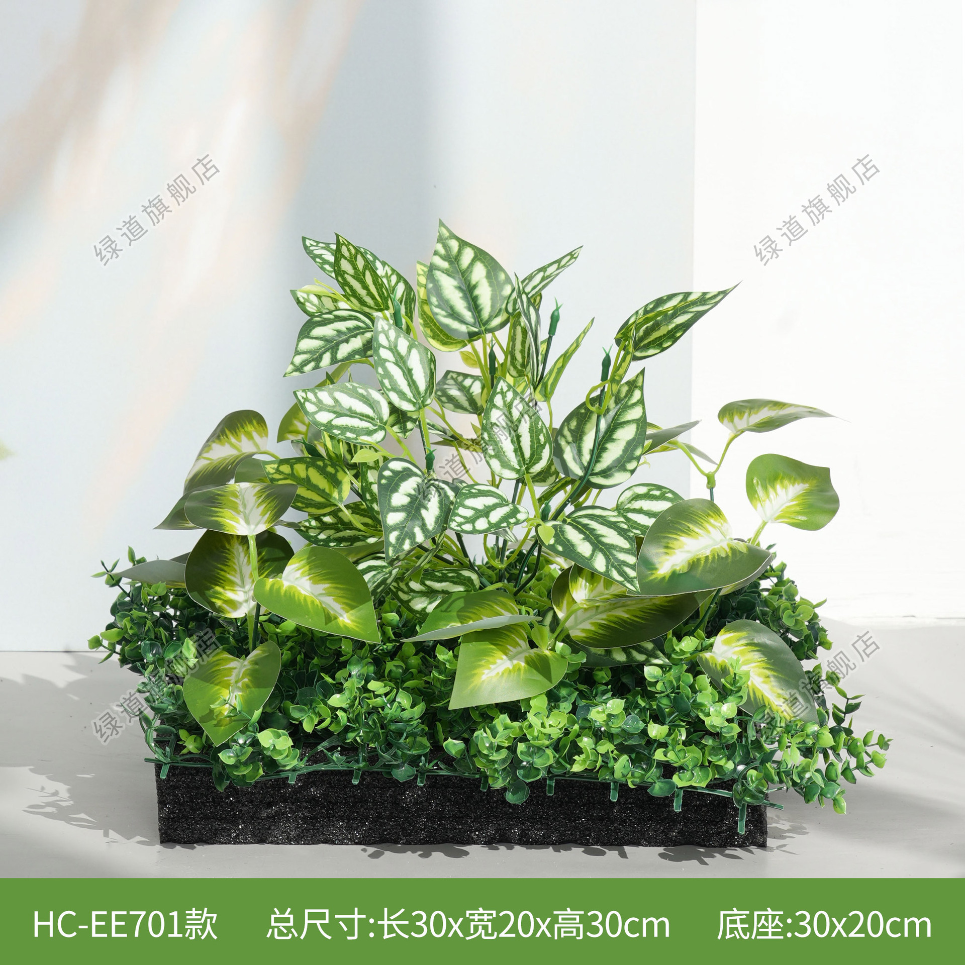 HC-EE701