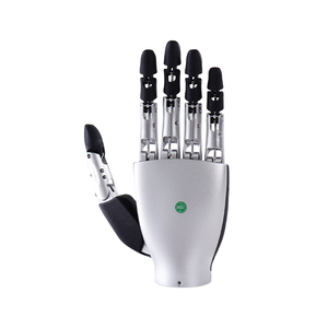 Mechaniker Mensch Arm Roboter Hand Fünf Finger Geschickte Hand Mit Python Code Programmierung