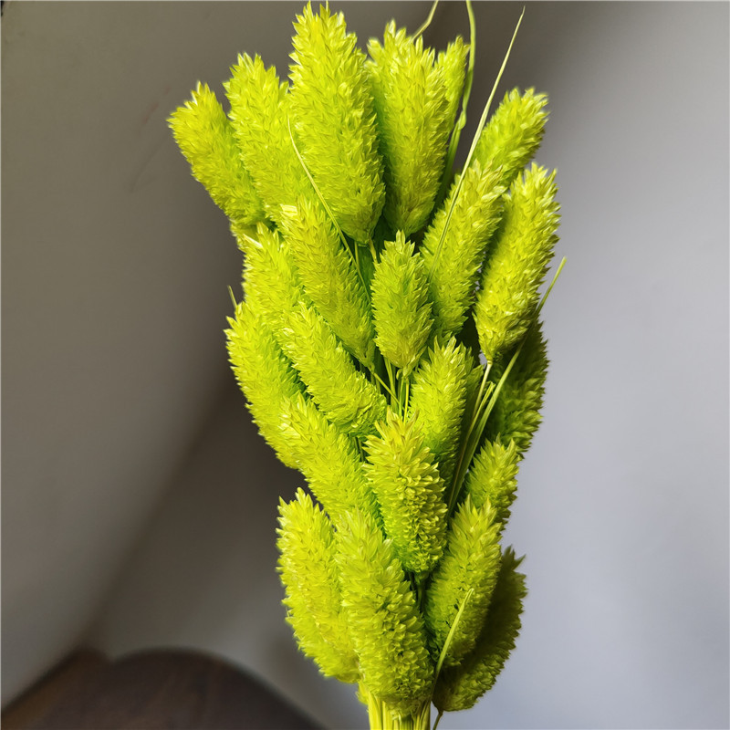 Verde chiaro