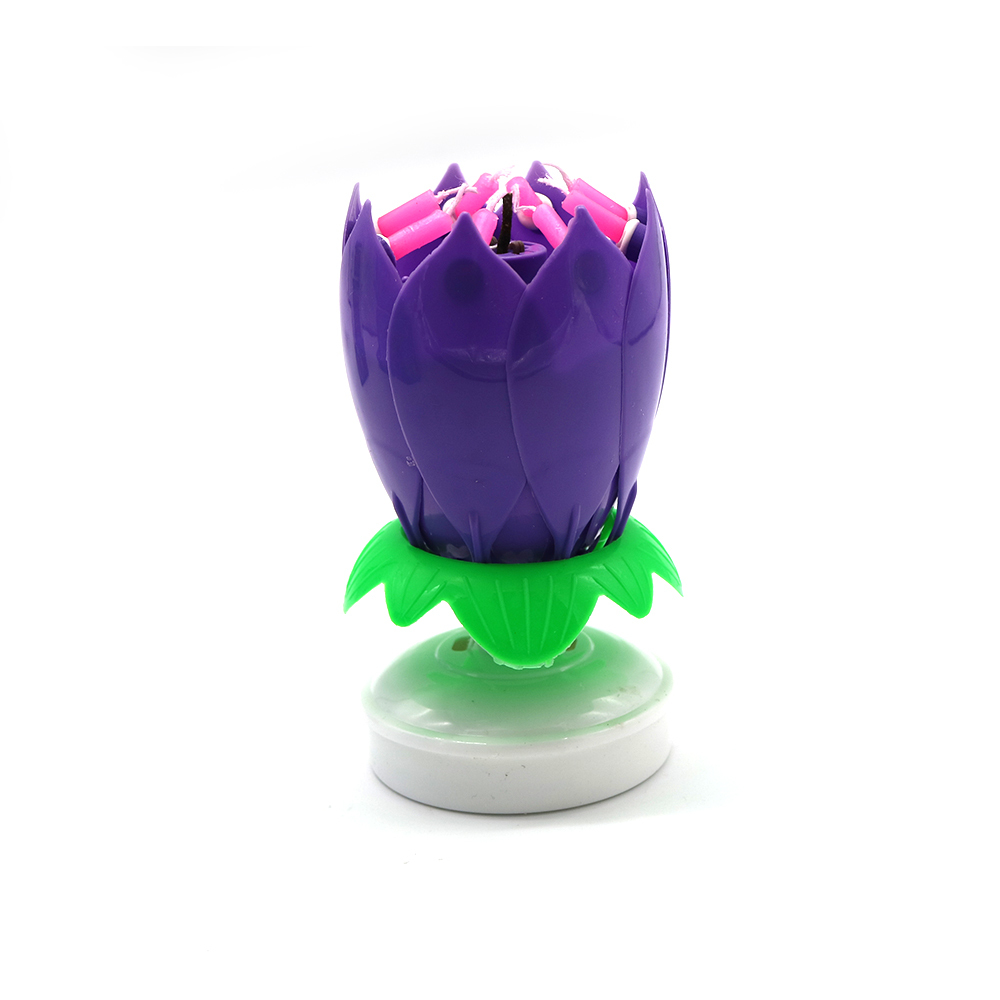 Pourpre