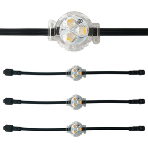 LED nokta ışık kalıcı tatil ışıkları fabrika fiyat IP68 IP68 RGB/RGBW IP68 su geçirmez APP akıllı kontrol Soffit işık - Product Image 4