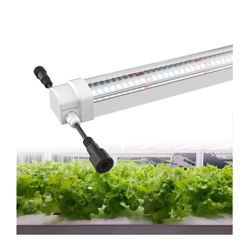 Brevettato T8 LED tubo di luce di coltivazione nuovo Design a spettro completo verticale fattoria serra piante personalizzate crescita ottimale fioritura IP65