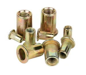 M12 Countersunk <strong>M16</strong> M3 M8 Blind SS Stainless Steel 1/4-20 Copper-Plated <strong>Rivet</strong> <strong>Nut</strong> 3/8 Flat Head Knurled Mining Industry Zinc