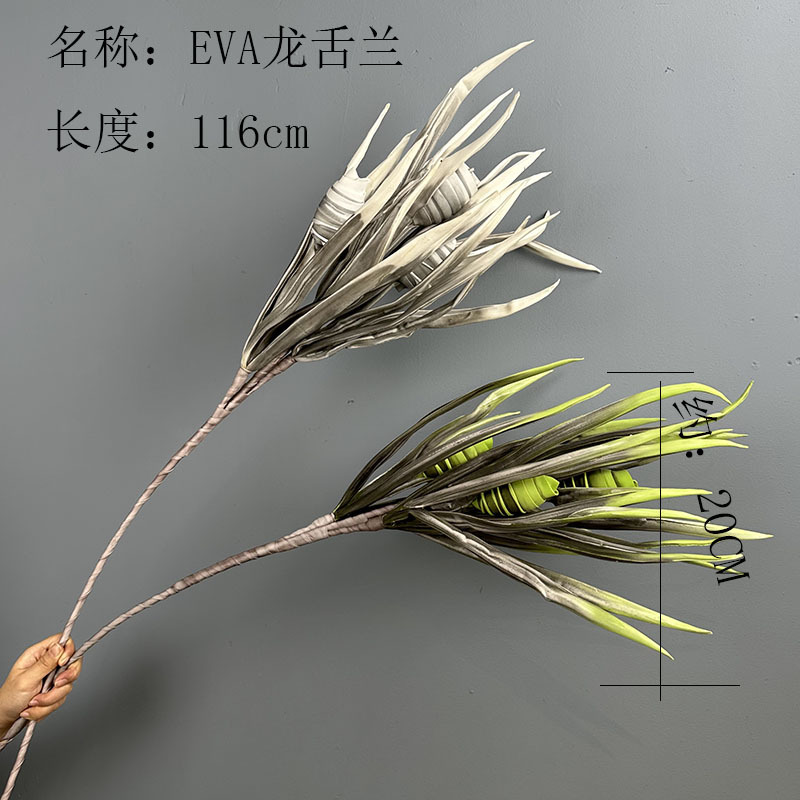 Gris agave
