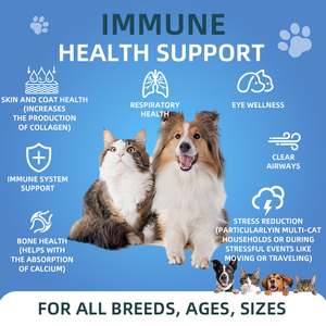 Poudre de lysine de soutien immunitaire pour chat de marque privée personnalisée supplément anti-allergie soutien respiratoire immunitaire oméga pour chiens puces - Product Image 2