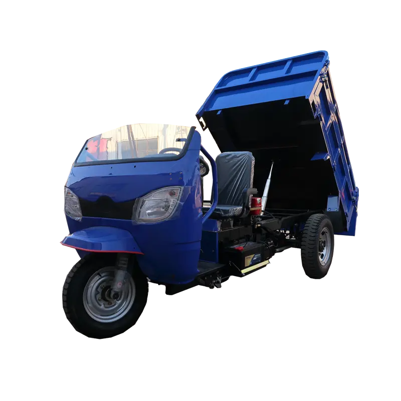 JinWang ad alte prestazioni Diesel triciclo camion di carico giardino agricolture Cargo motore triciclo motorizzato tricicli con tenda da sole