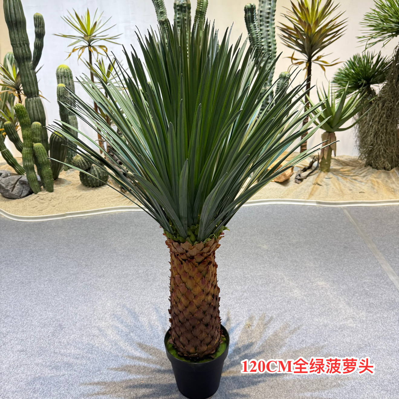 Tête d'ananas entièrement verte, 120 cm