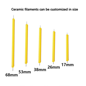 高輝度3V LEDフィラメント電球38mmセラミックレトロタングステンカスタマイズ可能な光源用ハードダイオード - Product Image 2