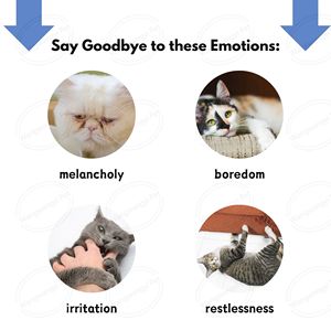 Juguete de hierba gatera de peluche de Navidad, gato no tóxico, menta, serie navideña, juguete de hierba gatera para mascotas para gatitos - Product Image 4