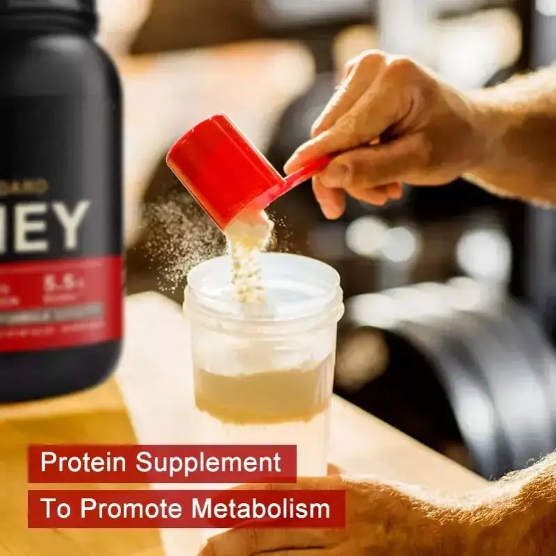 OEM Hot Sale High Weight Gain Veganes Protein Pulver Qualität Organisches Protein Pulver Supplement Molke protein
